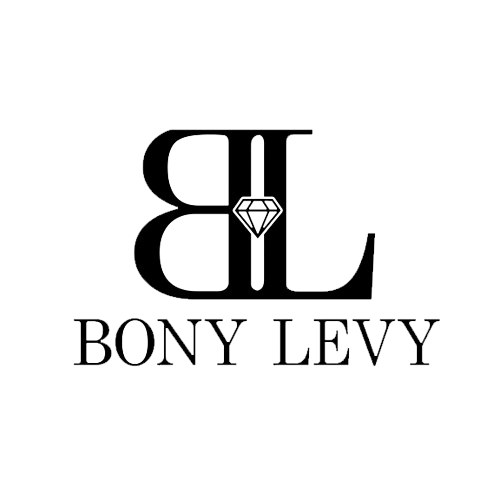 bony_levy_logo-removebg-preview