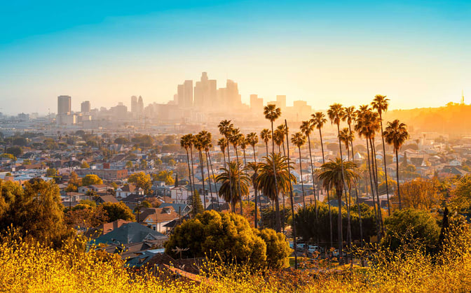 41 Software Companies in Los Angeles You Should Know