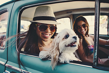 Modern Merchandising Platforms Empower Every Role